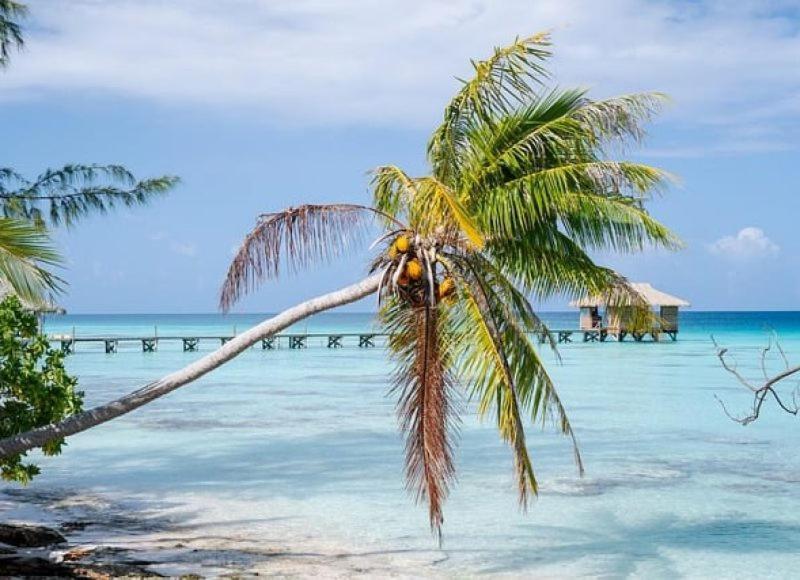 Sunset Hill Lodge Bora Bora Exterior photo